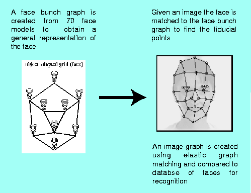 \begin{figure}
\center
\begin{tabular}[htb]{c}
\epsfxsize=4.5in
\epsfbox{egm.eps}
\par\end{tabular}\par\end{figure}