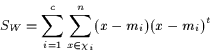 \begin{displaymath}S_{W}=\sum_{i=1}^{c} \sum_{x\in\chi_{i}}^{n} (x - m_{i})(x - m_{i})^{t} \end{displaymath}